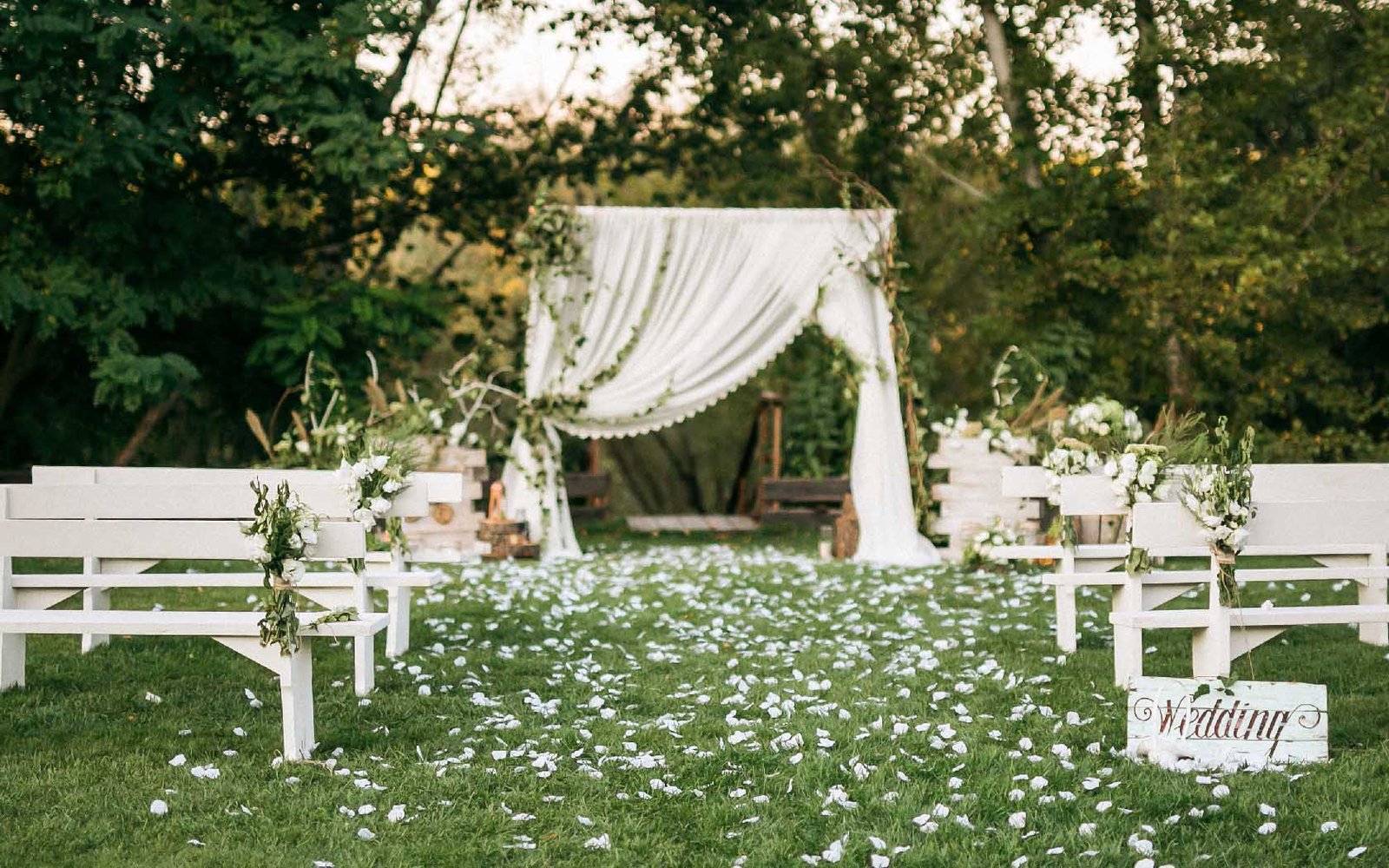Setup Service For Wedding Stage Backdrops And Lighting